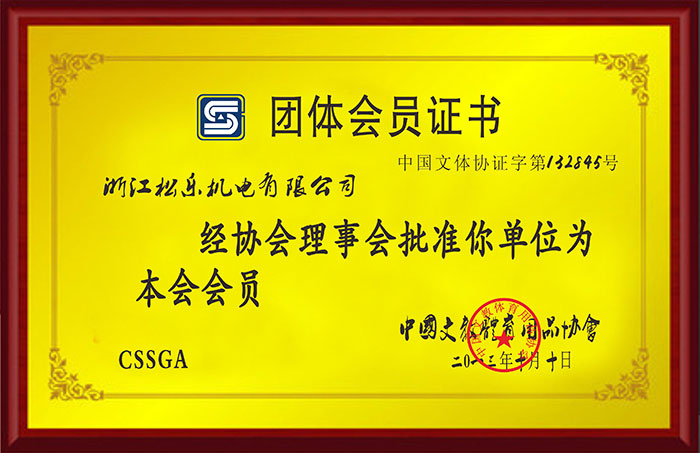 VSport,VSport体育,V体育,VSport - 胜利因您更精彩文体证书